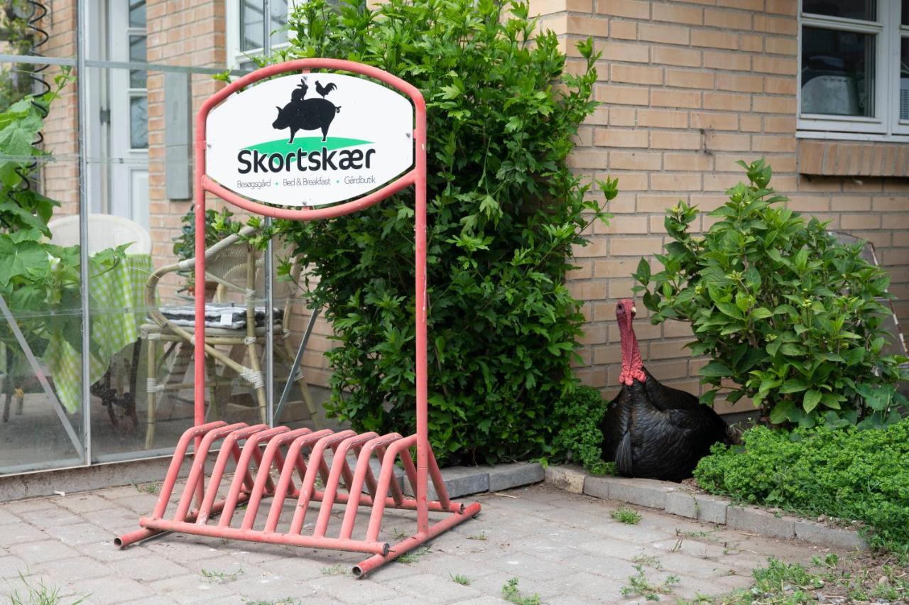 Bed and Breakfast Skortskaer Bondegardsferie Havnso  Экстерьер фото