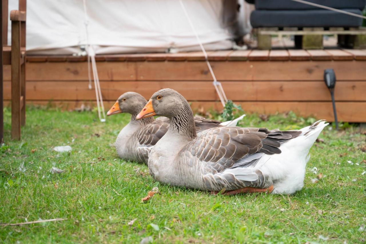 Bed and Breakfast Skortskaer Bondegardsferie Havnso  Экстерьер фото