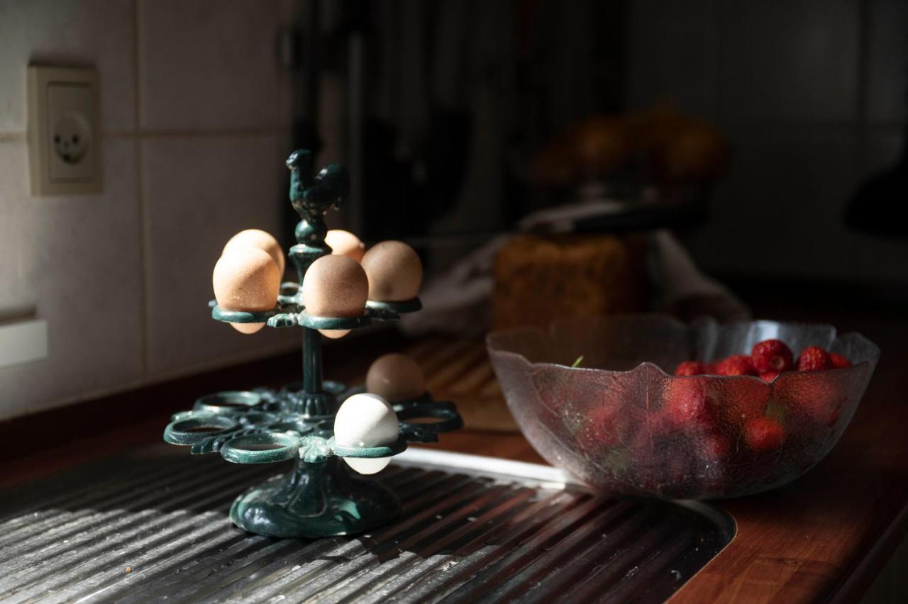 Bed and Breakfast Skortskaer Bondegardsferie Havnso  Экстерьер фото