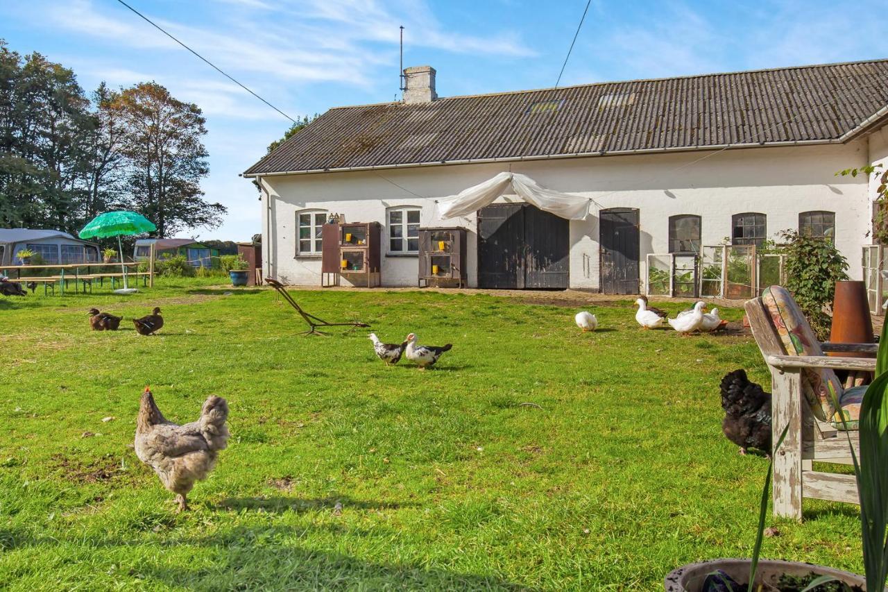 Bed and Breakfast Skortskaer Bondegardsferie Havnso  Номер фото